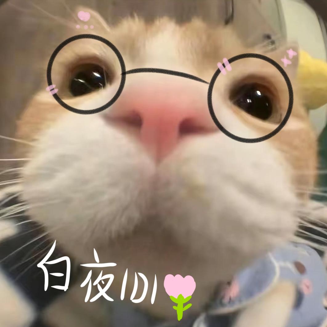 白夜IDI🌷(超自然)