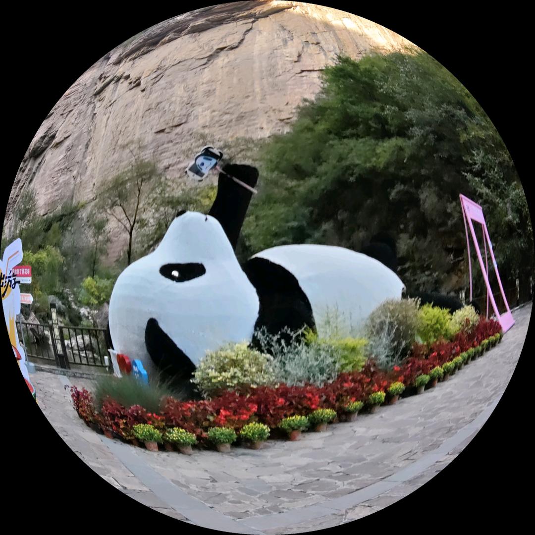 你也入我🩷怎么会忘你请不要连续点赞