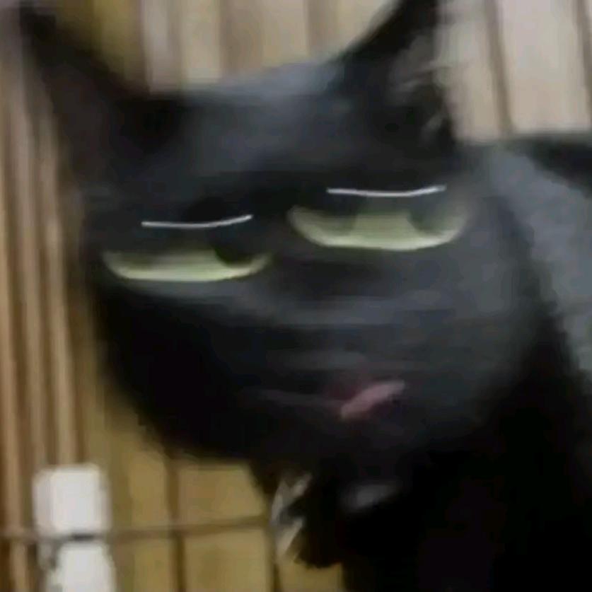 VingoPog