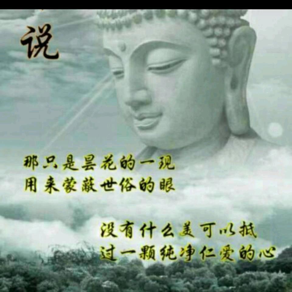 情商虔诚