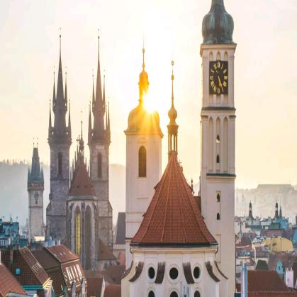 🌾🎄与🐉共舞🍄🌷