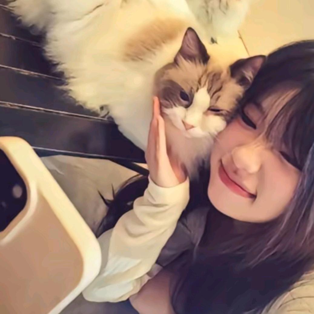 睡瞌睡了