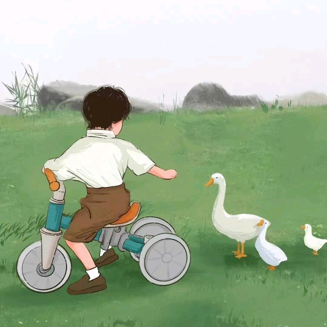 大D潮流