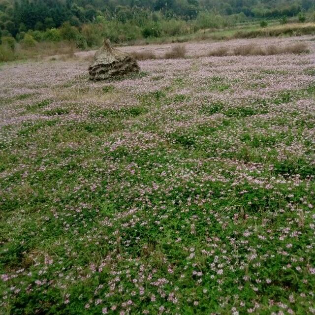 牦牛特战基地