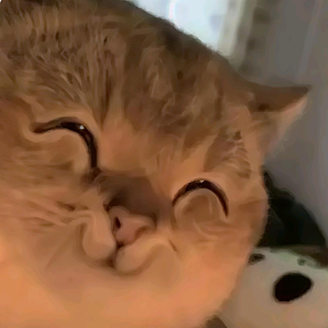 我是大乌魚
