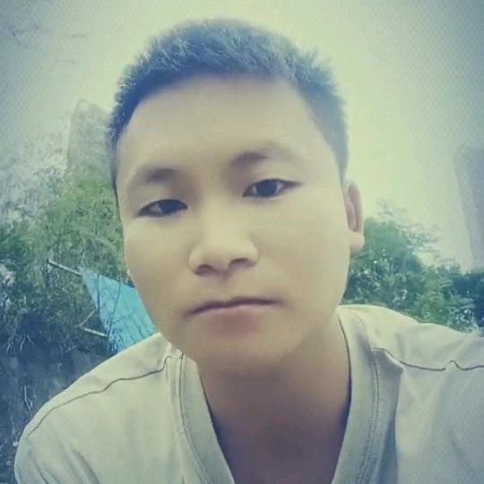 盈佳