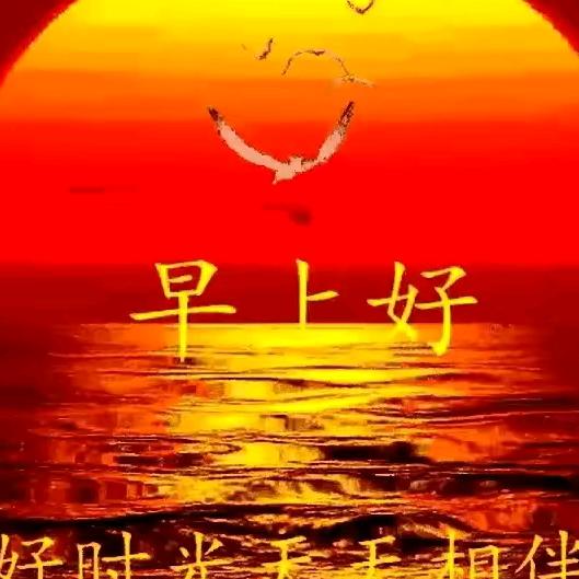 春天🇨🇳