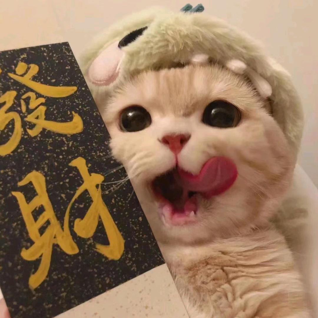 ［小优宝藏好物］