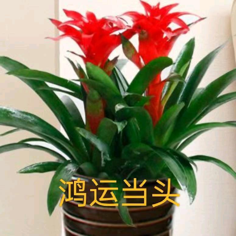 李姐
