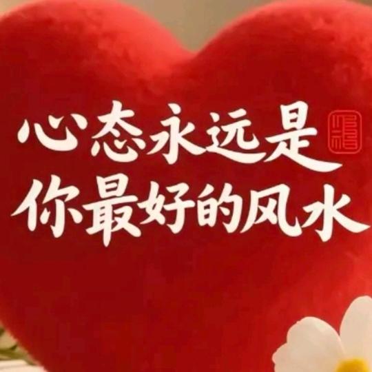 我想有个家