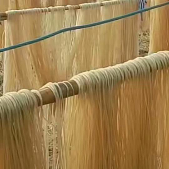 家有俩宝🍎🍅🍊🍉🍓🍏🍑🍐