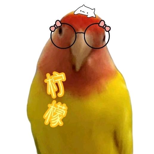 柠檬🍋