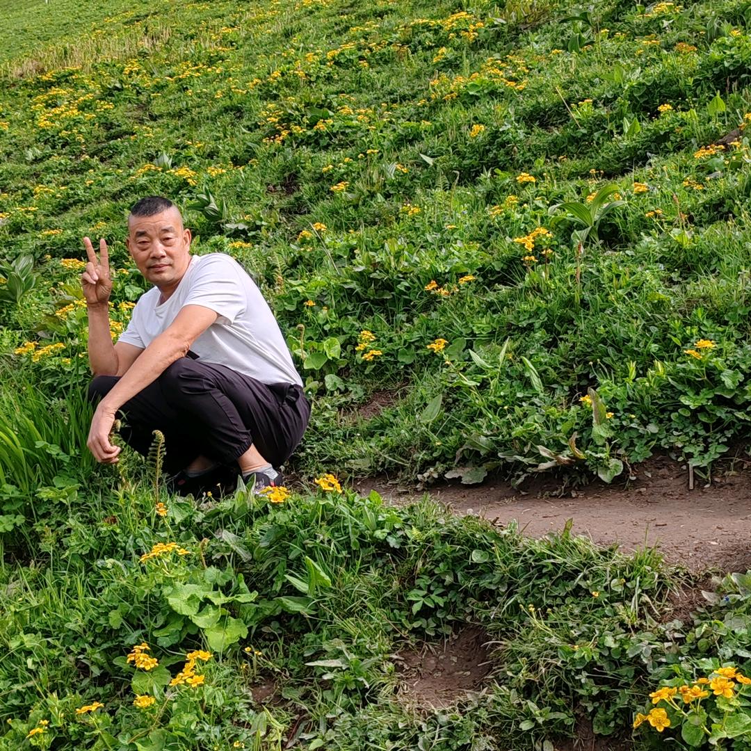 斌哥