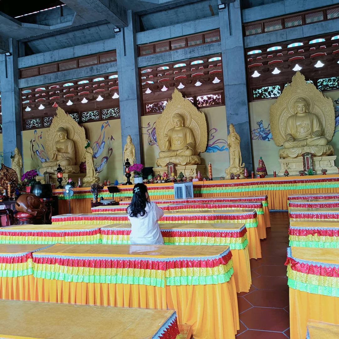 川藏特产—美玲