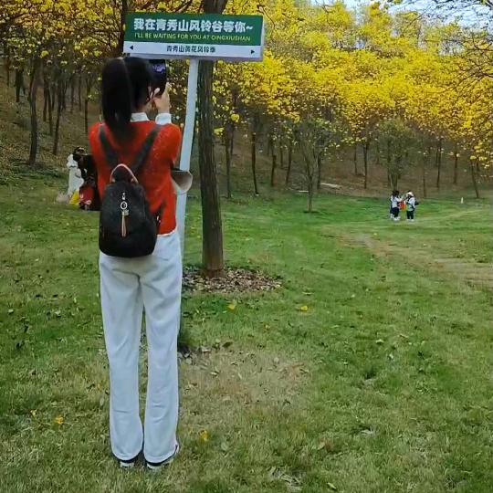 💞温暖的阳光