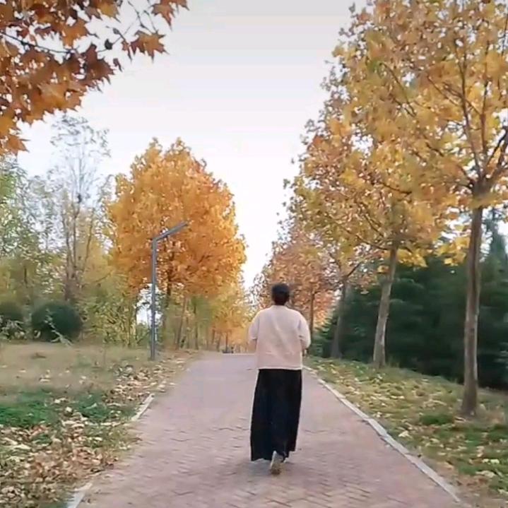 玫瑰庄园，卢小七