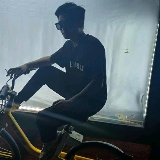 韩帅亮.[太子府]