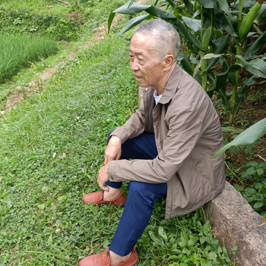 山区老歌