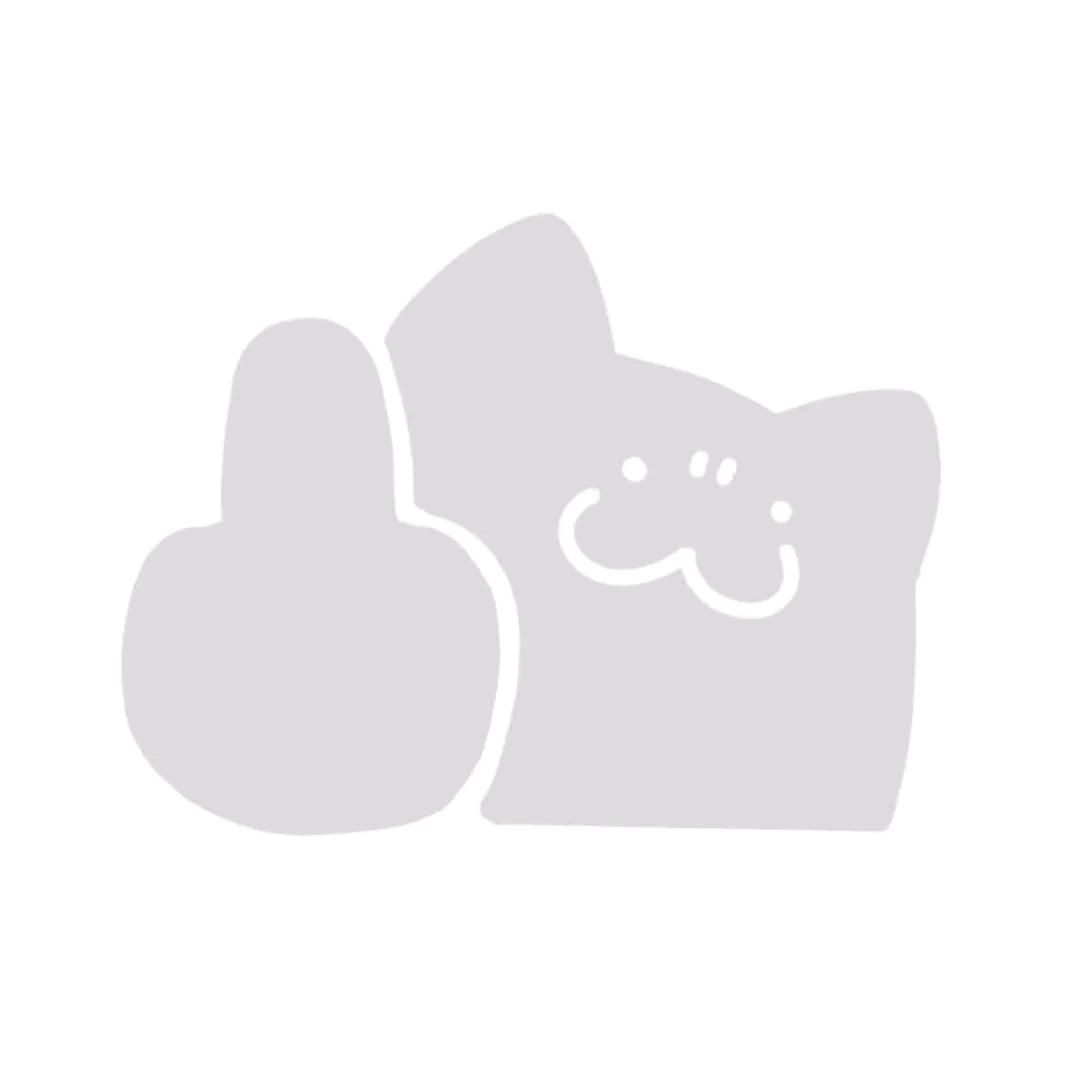 圆圈