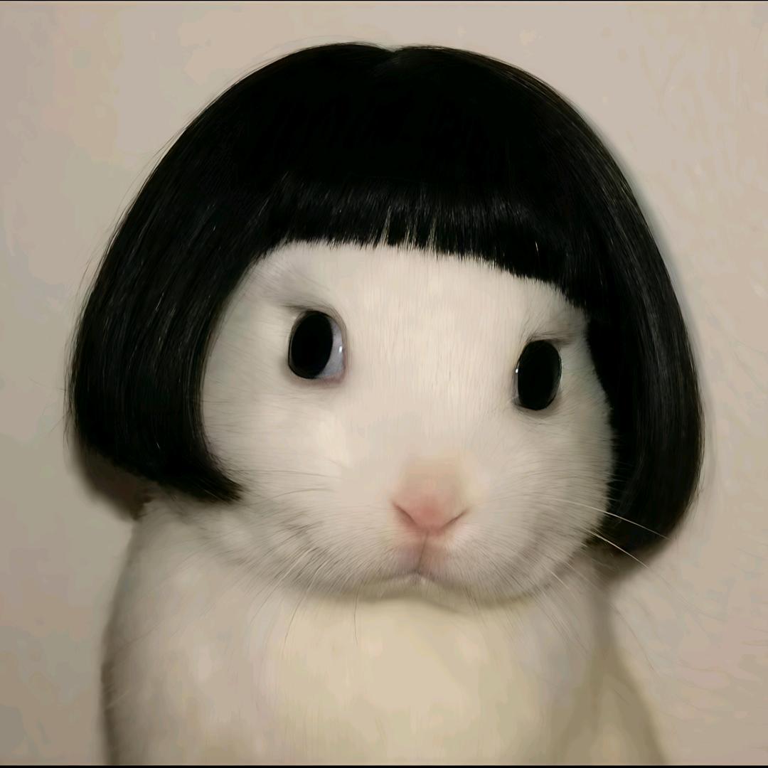 你是我兔爷୧⍤⃝🐇