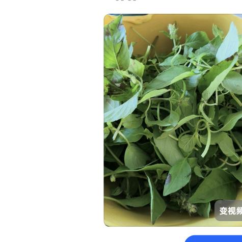 oo