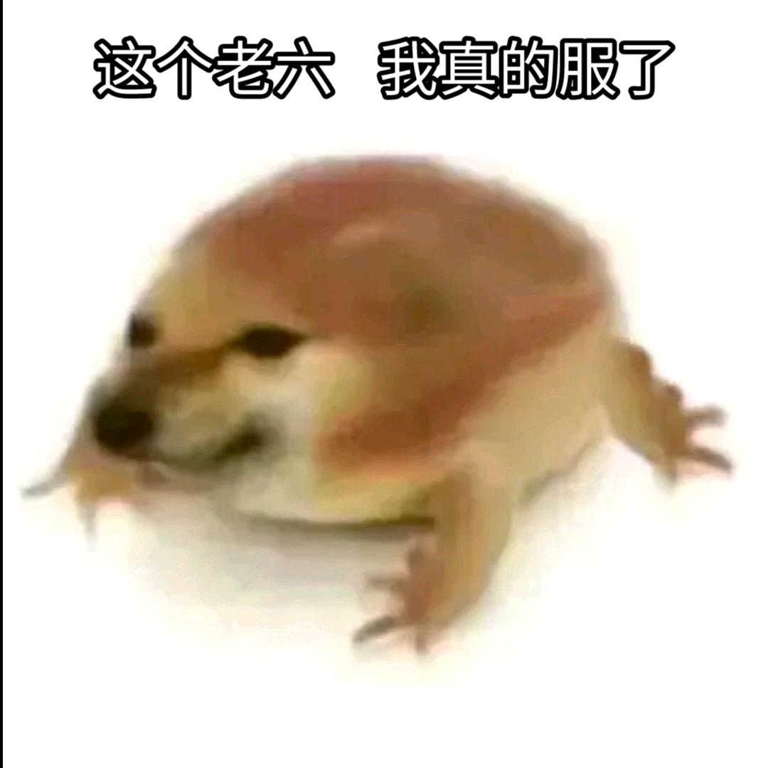 ～                  ～