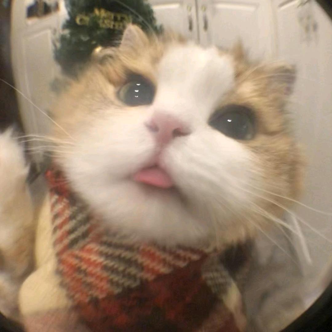 陌上行人
