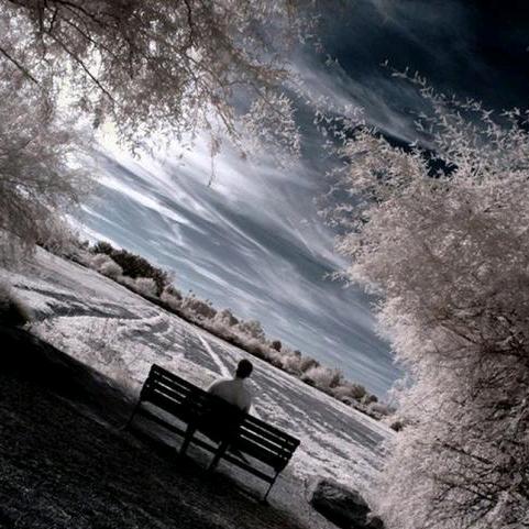 富民银行-断杆幼师