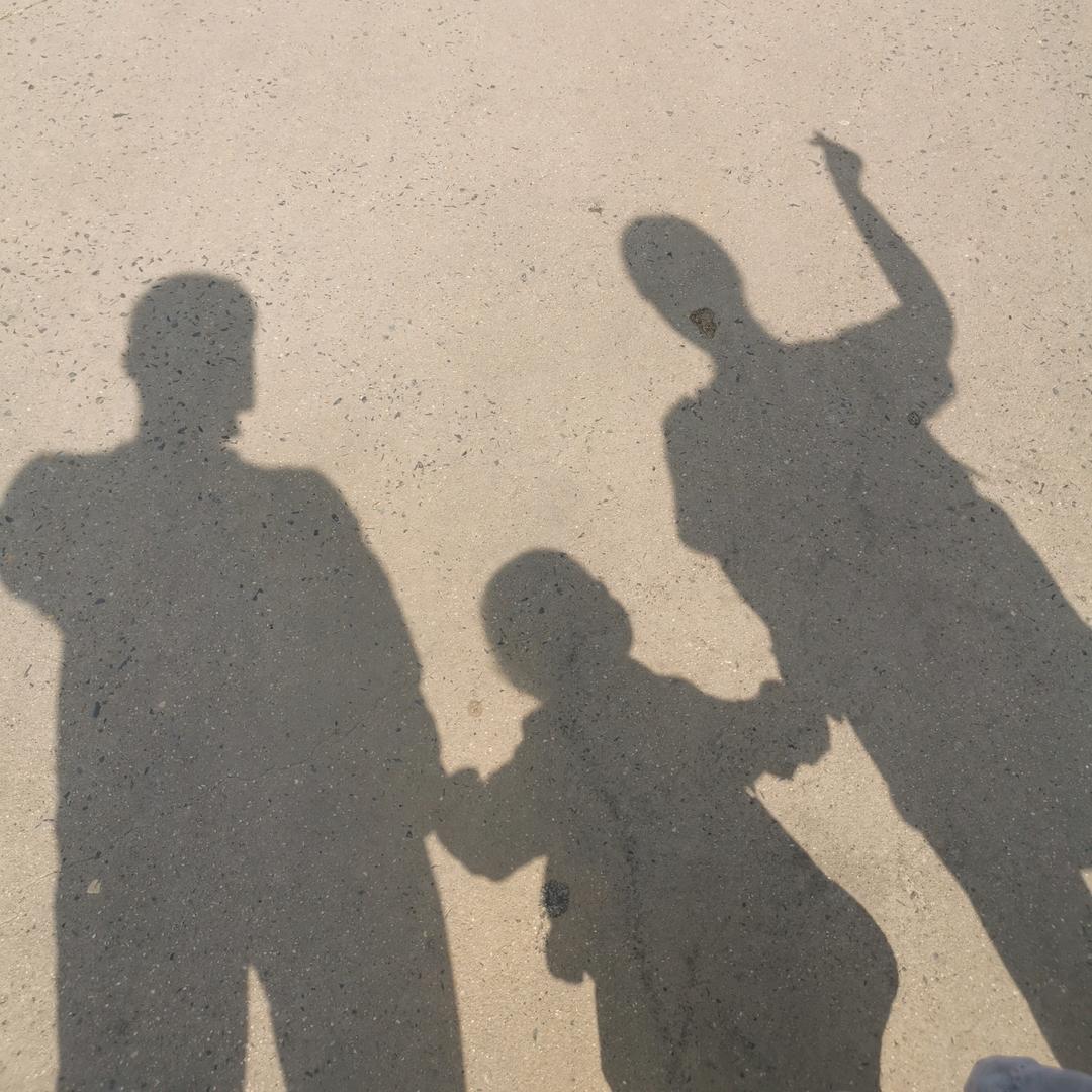 梦见鱼儿天上飞