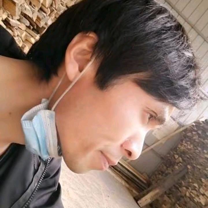 情优