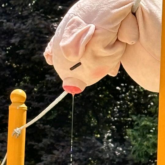 百合