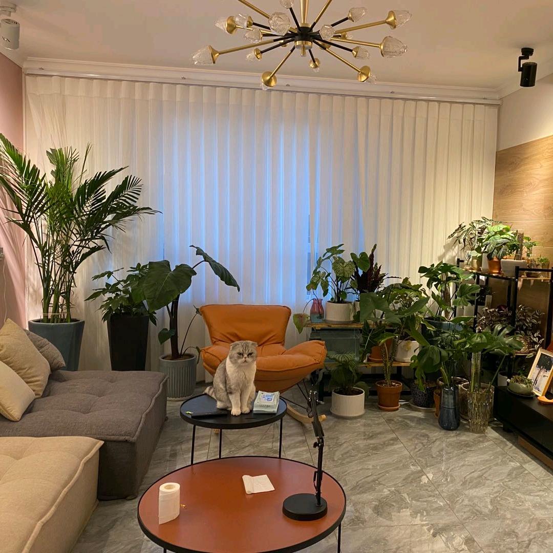 乌鲁木齐窗帘软装🎈胡同妞