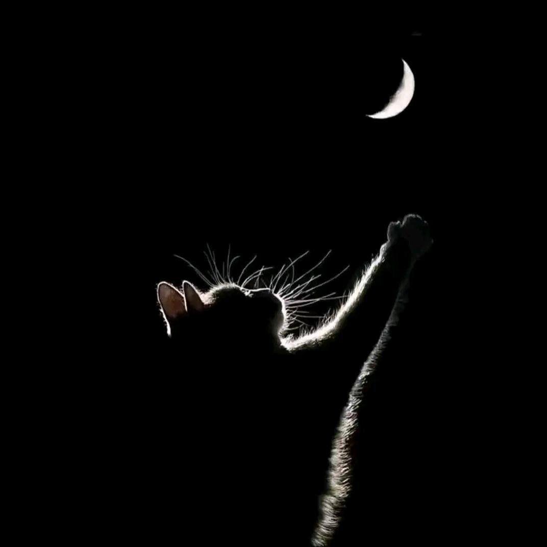 卖打火机的男孩