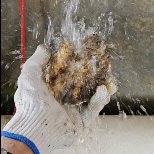 年轻的老年生活