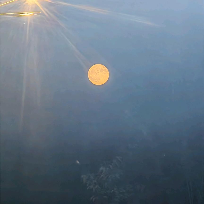夕哥