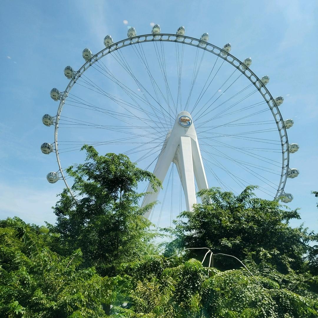 燕子向南飞