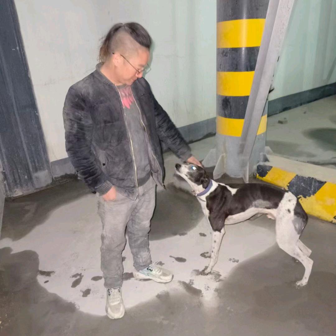 下次见面也陌生