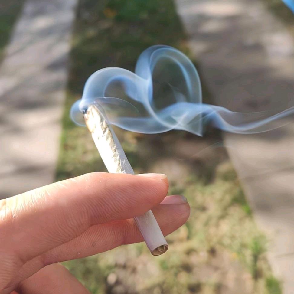 好事连林