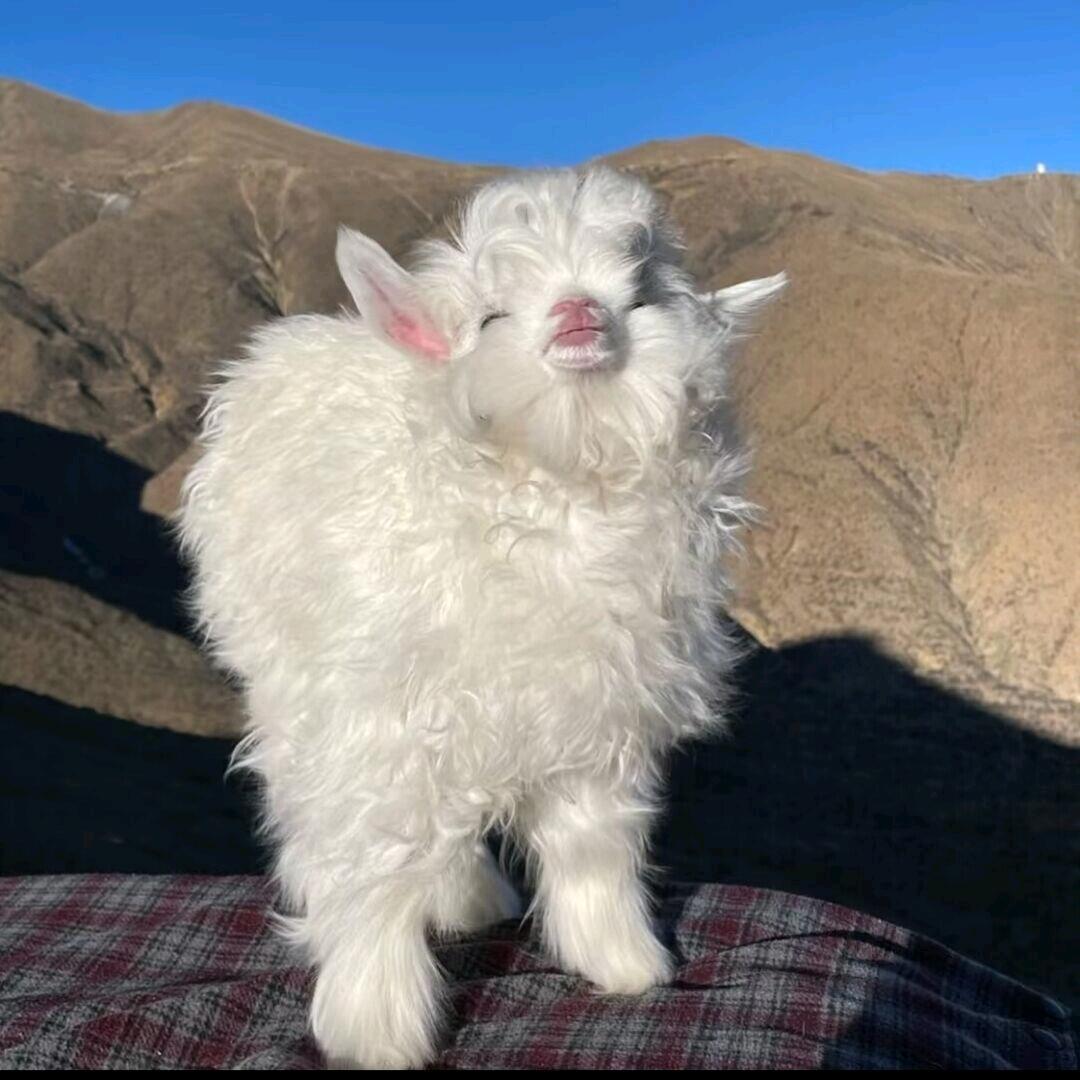 :D