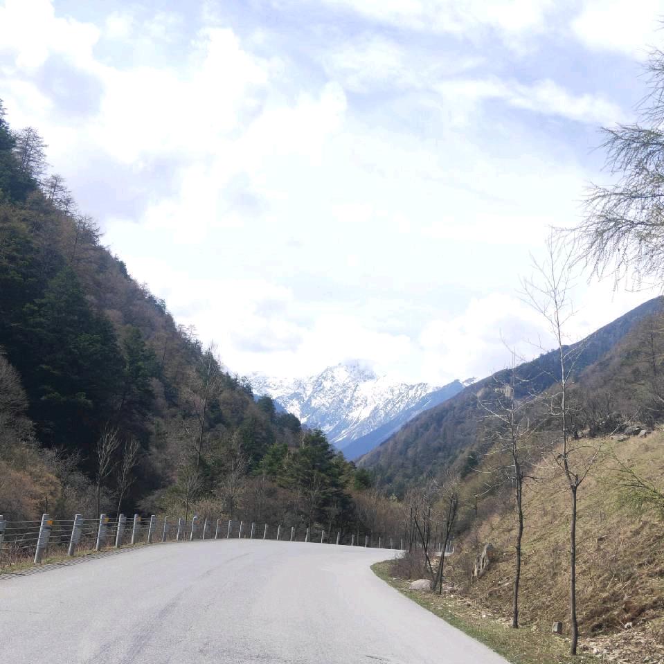 电梯销售｜达州