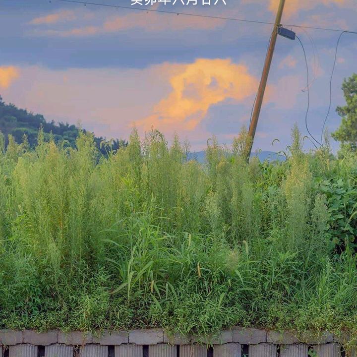 孤军奋战