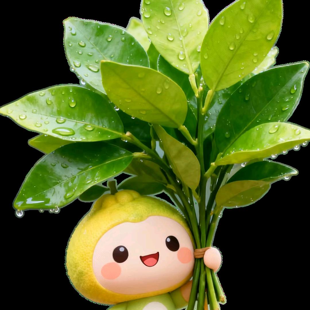 林子大了🌲🌳