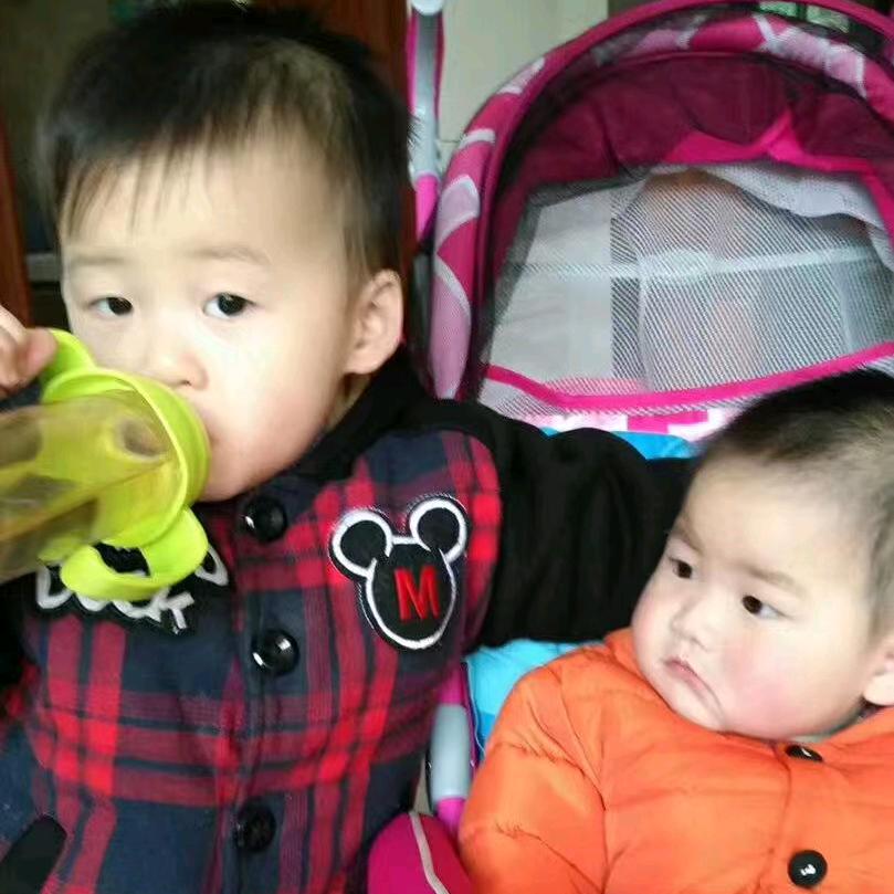 爱唱戏的傻猪猪-圆梦