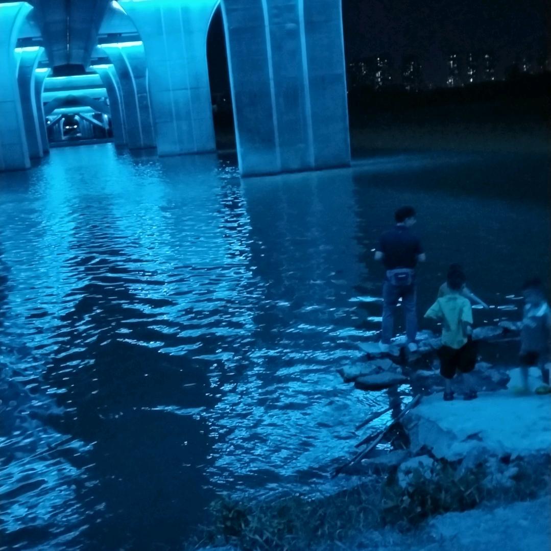 银哥流浪