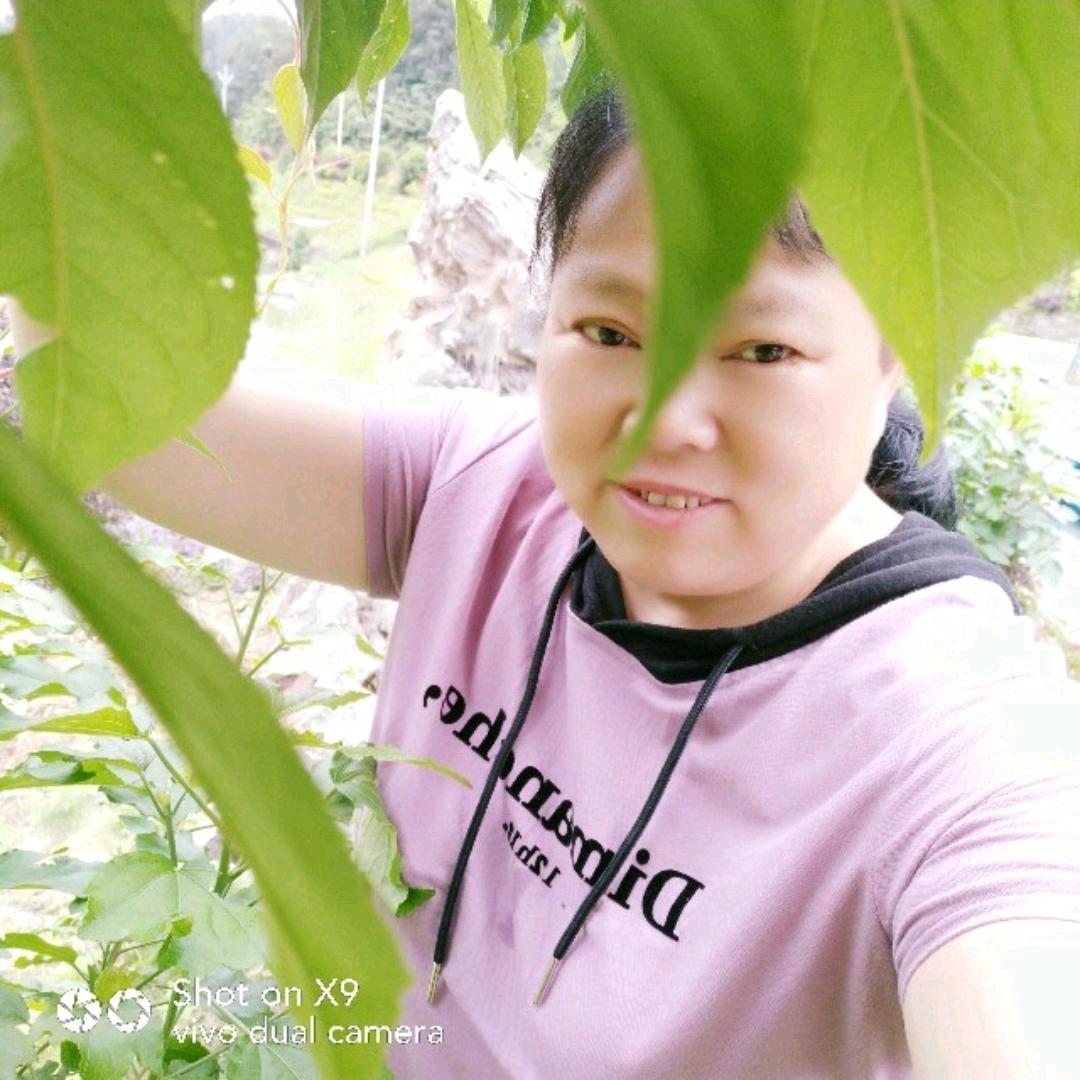 亚盘林陈维山庄，欢迎你133396648