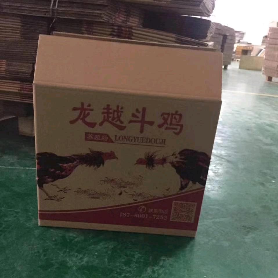 龙越斗鸡