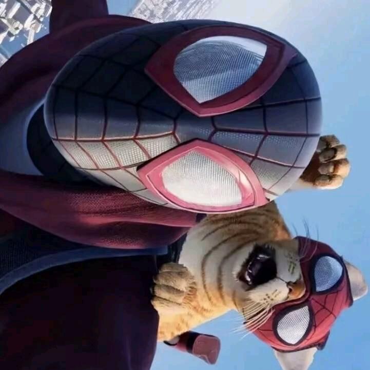 豆音教父等 8000人