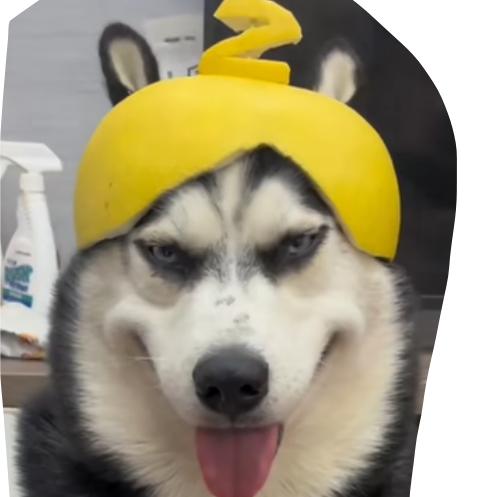 不想起床(*'▽'*)♪