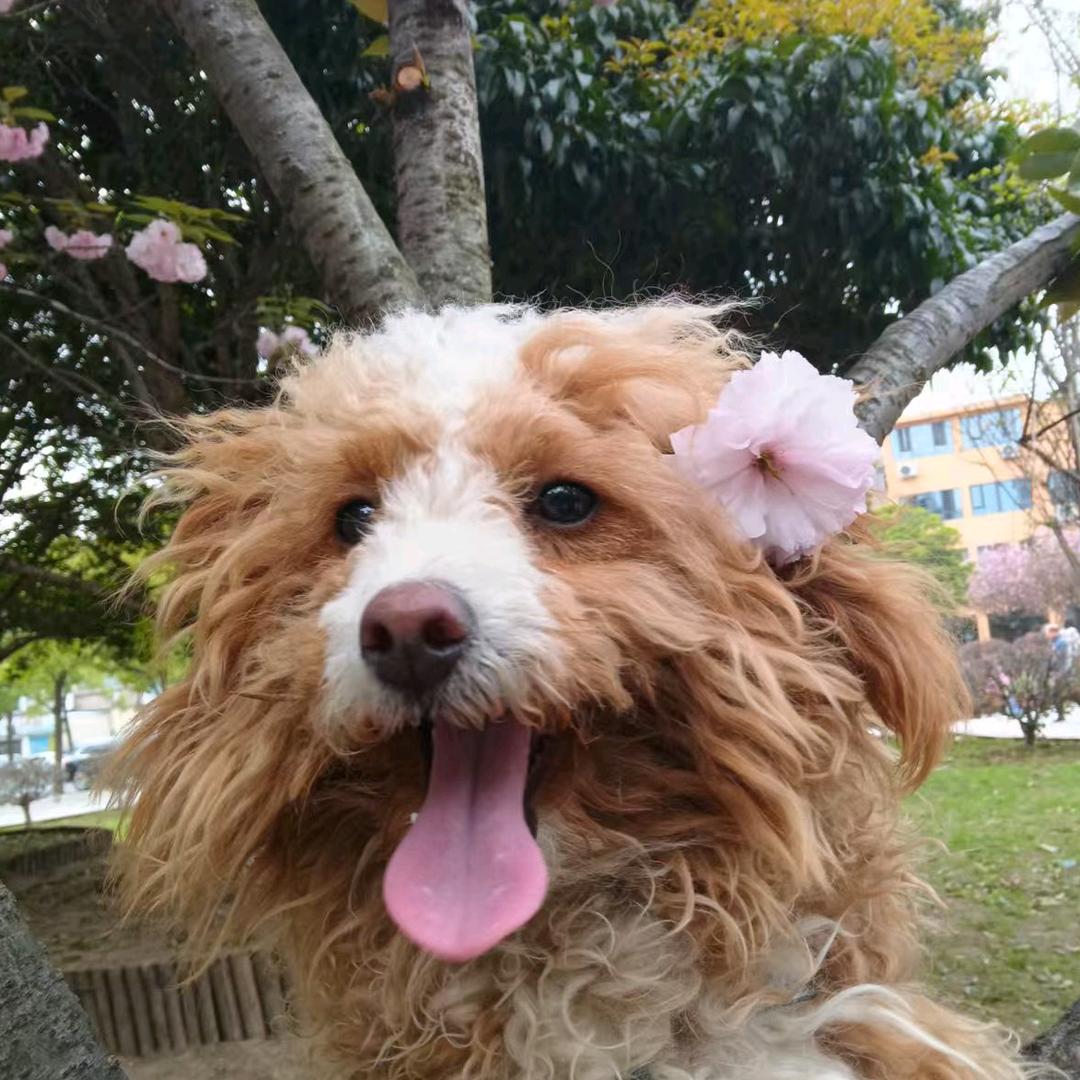 @淡定