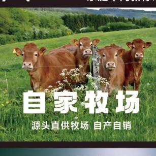 可意黄牛肉